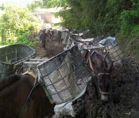 香洲区马帮搬运
