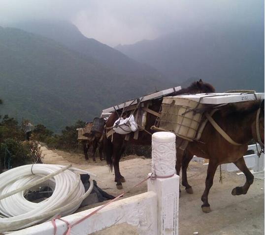 香洲区山区马帮运输