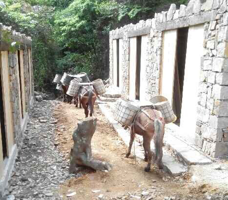 香洲区马队运输队