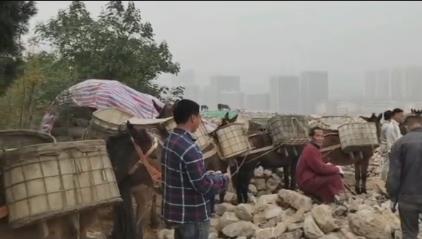 香洲区骡马山区运输