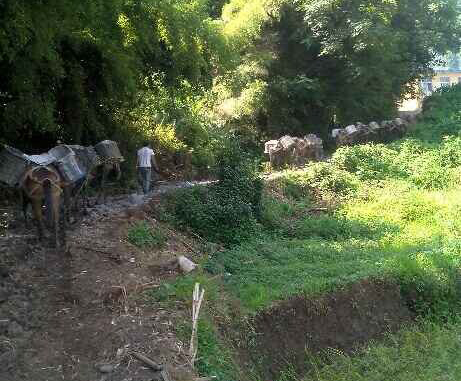 香洲区马帮运输队