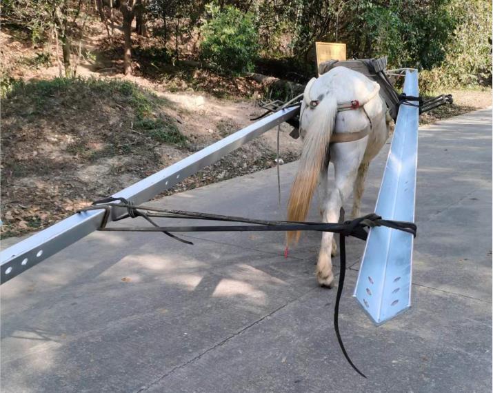 香洲区马队搬运