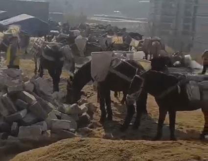 香洲区马队山路运输