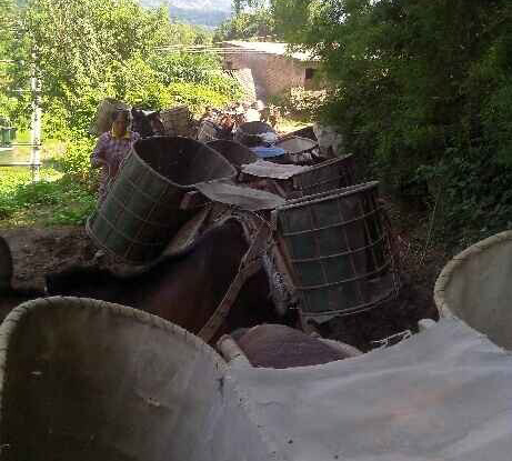 香洲区骡马运输